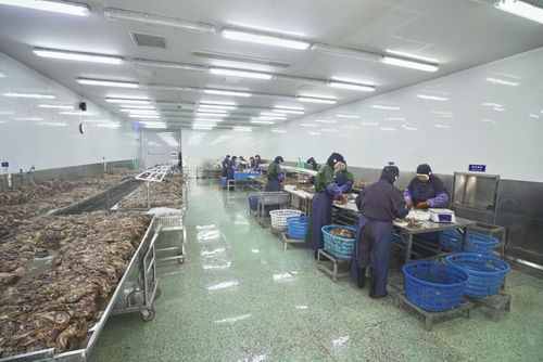 年后工廠招工難與農民工就業(yè)困境 旅游業(yè)的啟示與出路